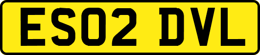 ES02DVL