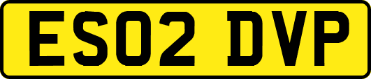 ES02DVP