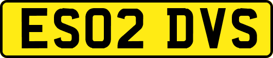 ES02DVS