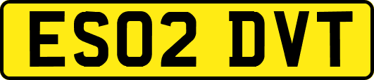 ES02DVT