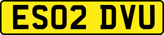 ES02DVU