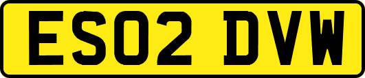 ES02DVW