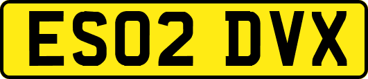 ES02DVX