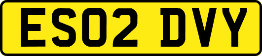 ES02DVY