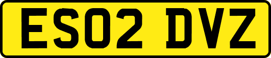 ES02DVZ