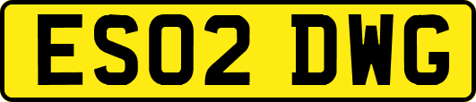 ES02DWG
