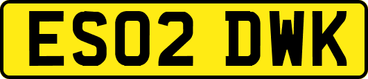 ES02DWK