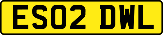 ES02DWL