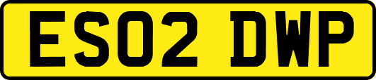 ES02DWP