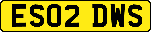 ES02DWS