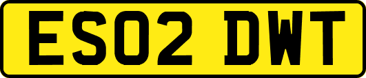 ES02DWT