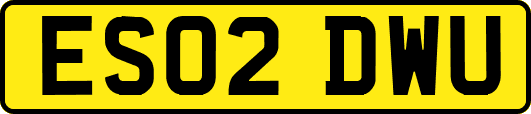 ES02DWU