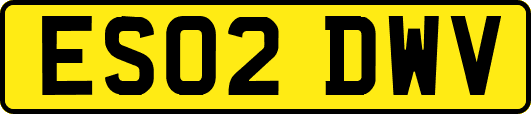 ES02DWV