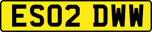 ES02DWW