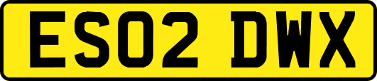 ES02DWX