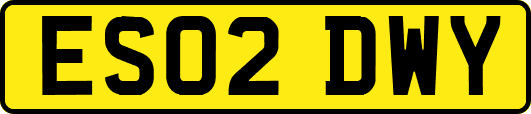 ES02DWY