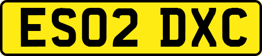 ES02DXC