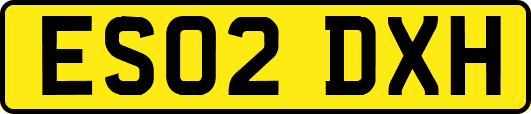 ES02DXH