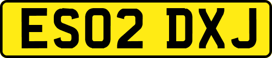 ES02DXJ