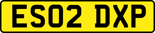 ES02DXP