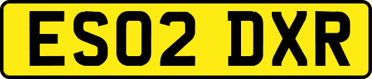ES02DXR