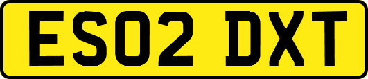 ES02DXT