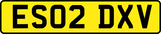 ES02DXV