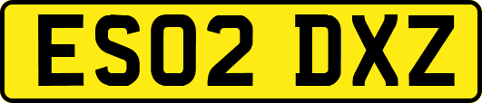 ES02DXZ