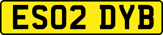 ES02DYB