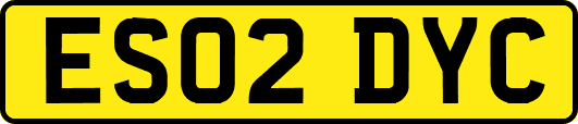 ES02DYC