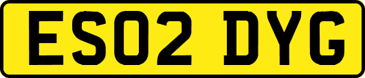 ES02DYG