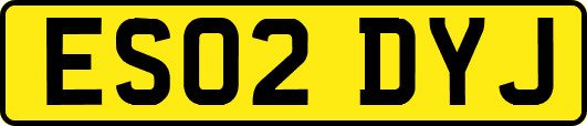 ES02DYJ