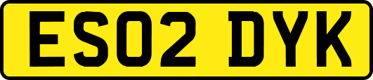 ES02DYK
