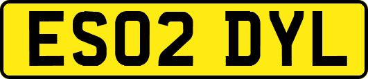 ES02DYL