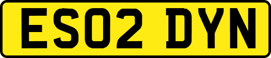 ES02DYN