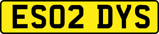 ES02DYS