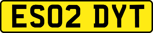 ES02DYT