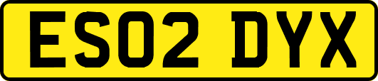 ES02DYX