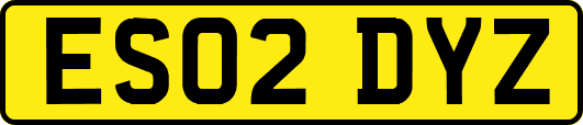 ES02DYZ