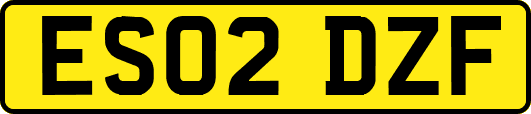 ES02DZF
