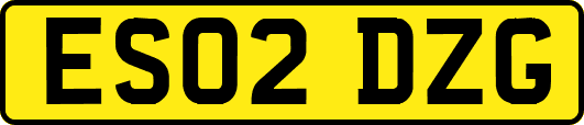 ES02DZG