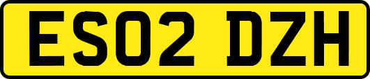 ES02DZH