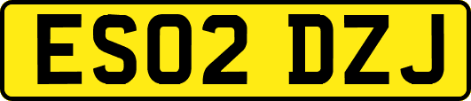 ES02DZJ