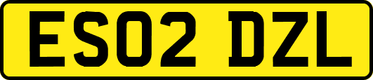 ES02DZL