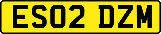 ES02DZM