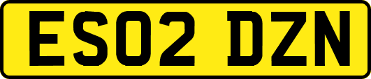ES02DZN