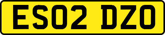 ES02DZO