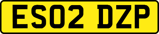 ES02DZP