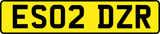 ES02DZR