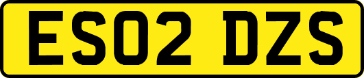 ES02DZS